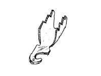 Terminals - Spade Style (240)-image